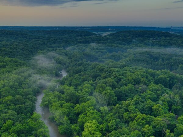 Compensação Ambiental: Entendendo Sua Relevância no Mundo Corporativo