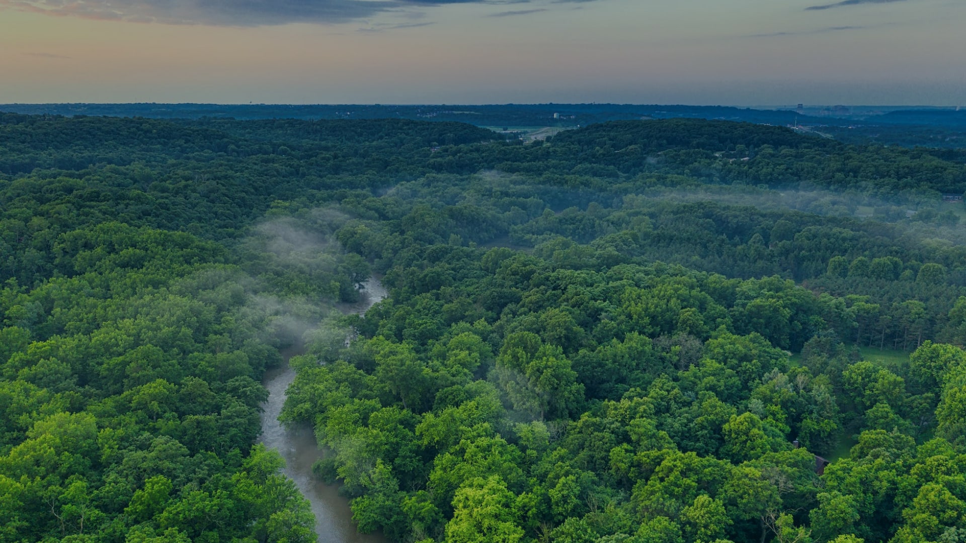 Compensação Ambiental: Entendendo Sua Relevância no Mundo Corporativo